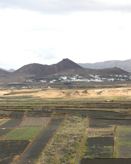 mancha-blanca