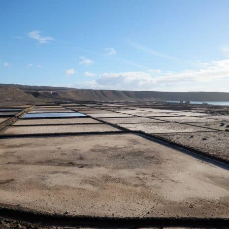 Las Salinas de Janubio