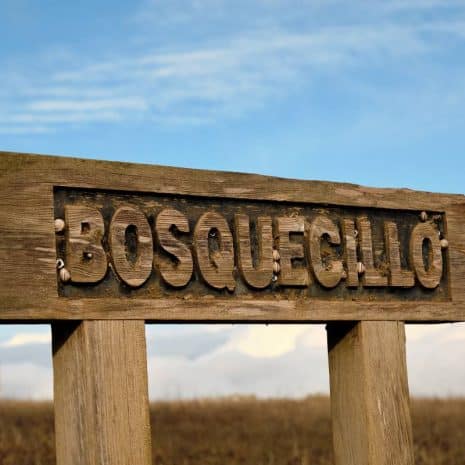 El Bosquecillo