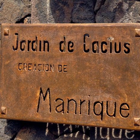 jardin del cactus