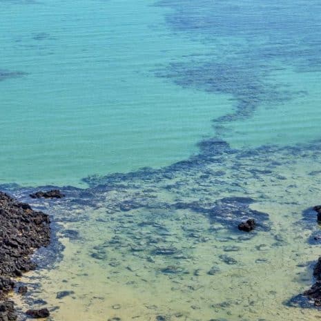 Playa del Caletón Blanco