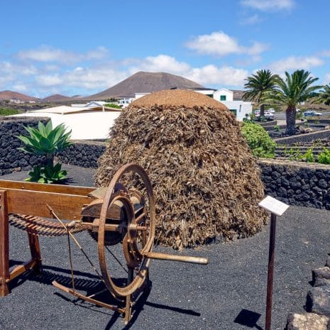 monumento al campesino