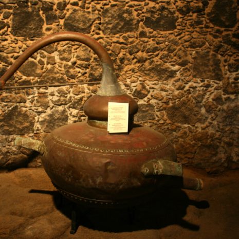 Museo del Vino