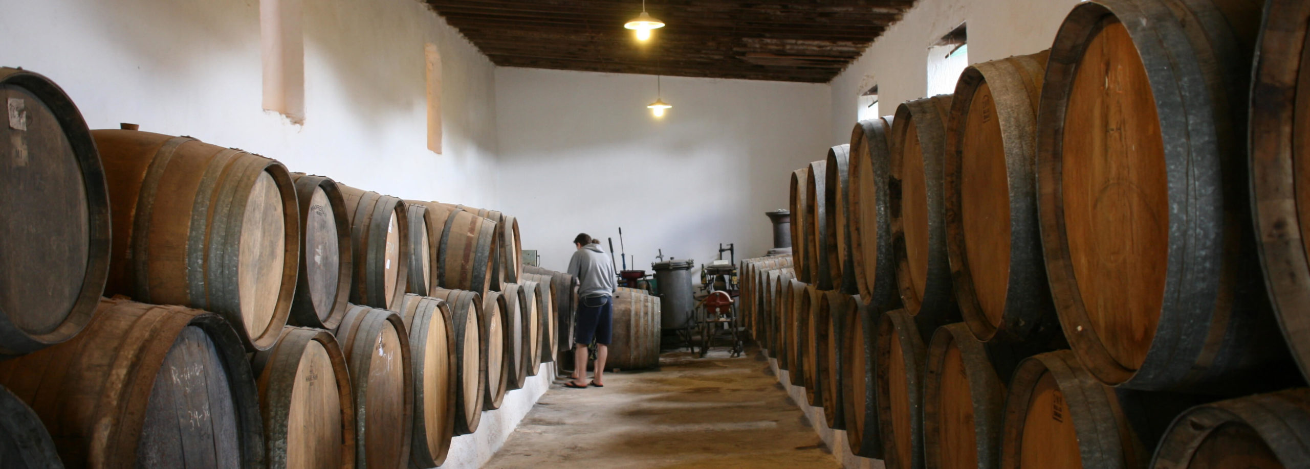 Museo del Vino