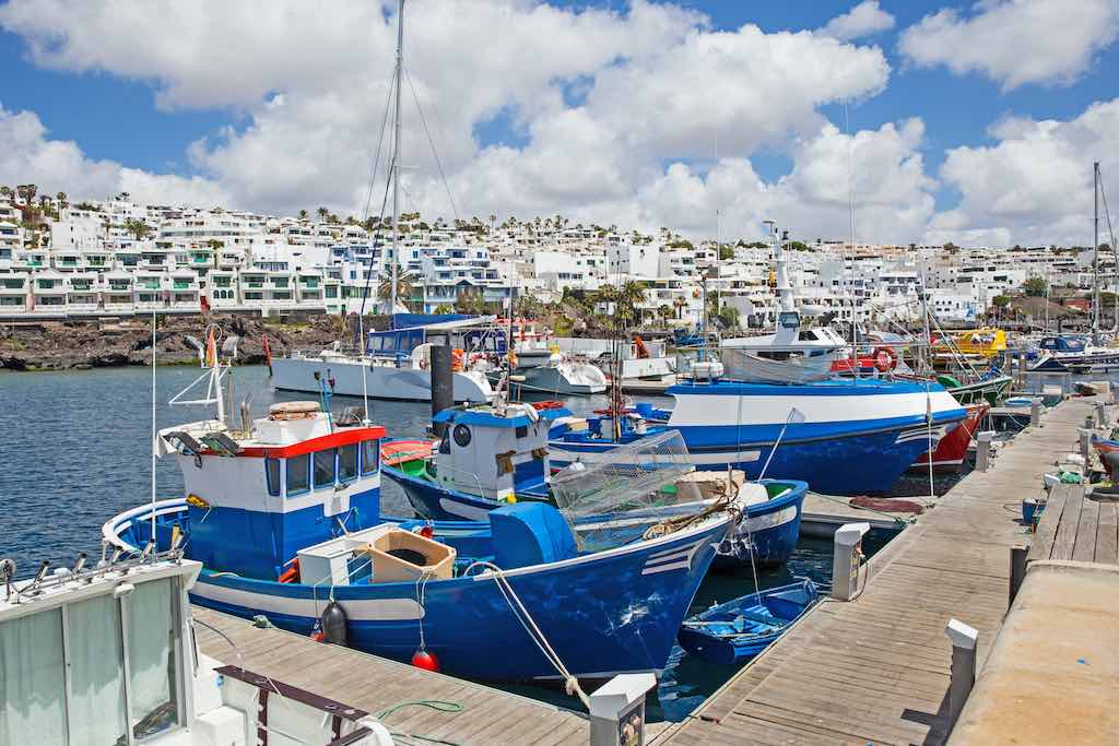 Pesca en Lanzarote, todo lo que debes saber