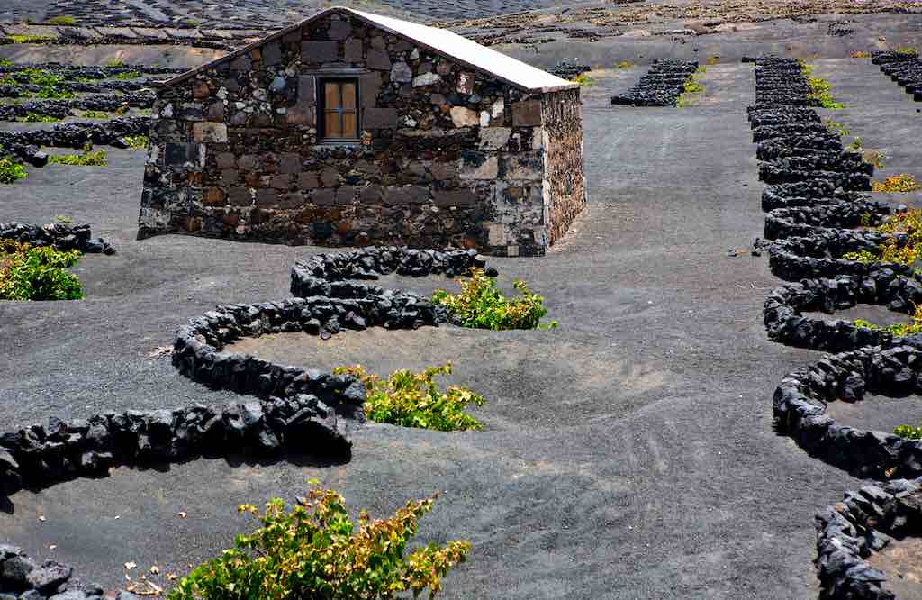 turismo de vino lanzarote