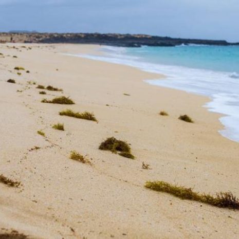 Playa de Las Conchas