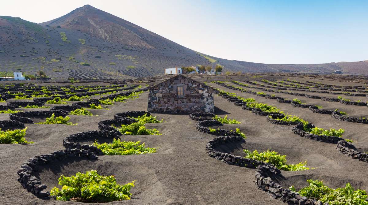 10 essential places to see in Lanzarote