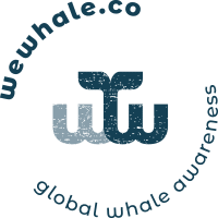 WeWhale Canarias logo