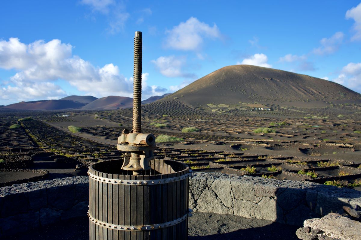 bodegas lanzarote
