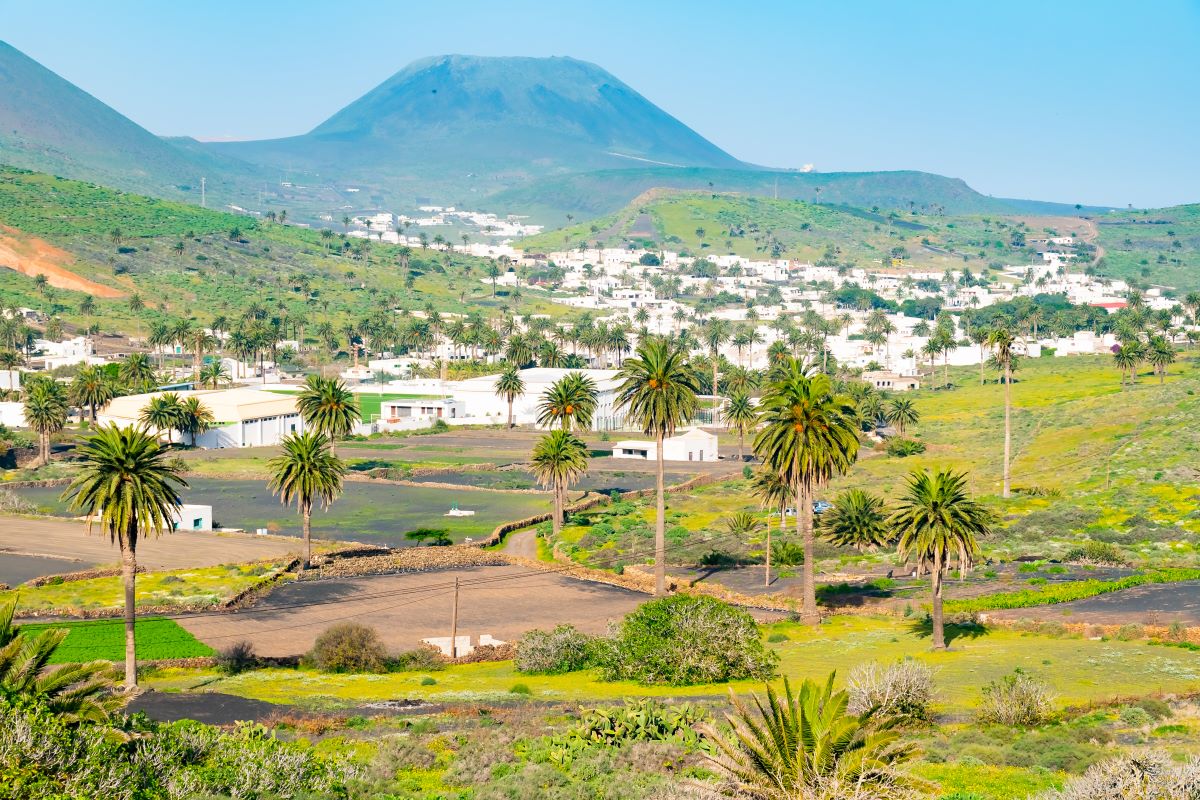 valle de las mil palmeras lanzarote